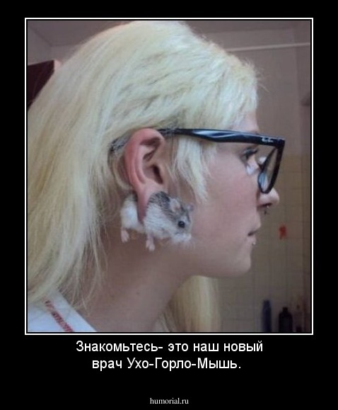 Знакомьтесь- это наш новый врач Ухо-Горло-Мышь.