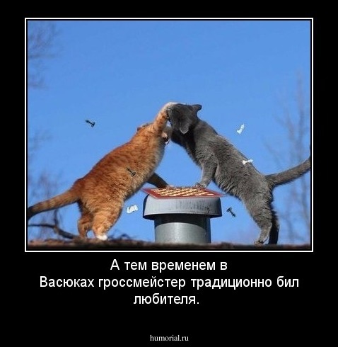 А тем временем в Васюках гроссмейстер традиционно бил любителя.