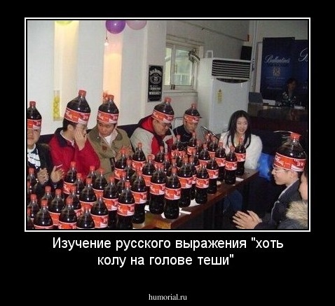 Изучение русского выражения "хоть колу на голове теши" 