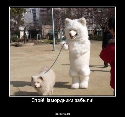 Стой!Намордники забыли!