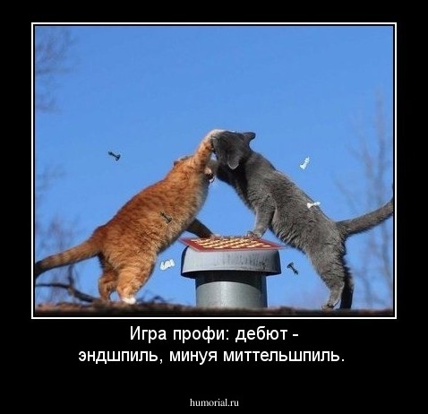 Игра профи: дебют - эндшпиль, минуя миттельшпиль.