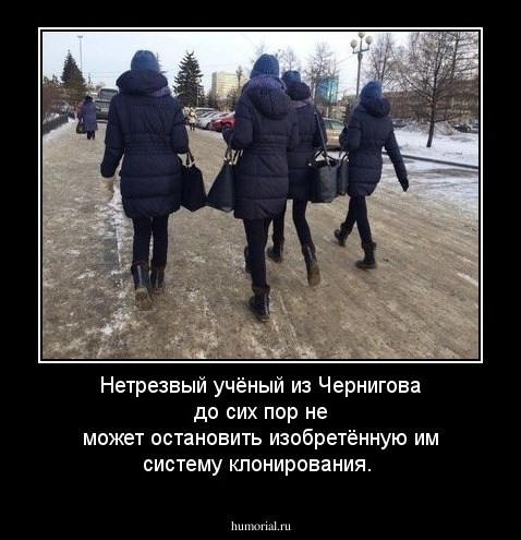 Нетрезвый учёный из Чернигова до сих пор не может остановить изобретённую им систему клонирования.