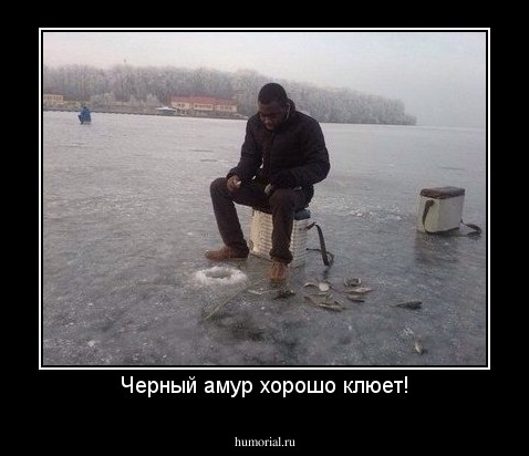 Черный амур хорошо клюет!