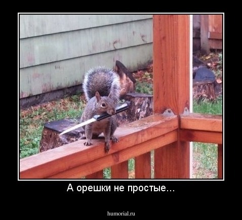 А орешки не простые...