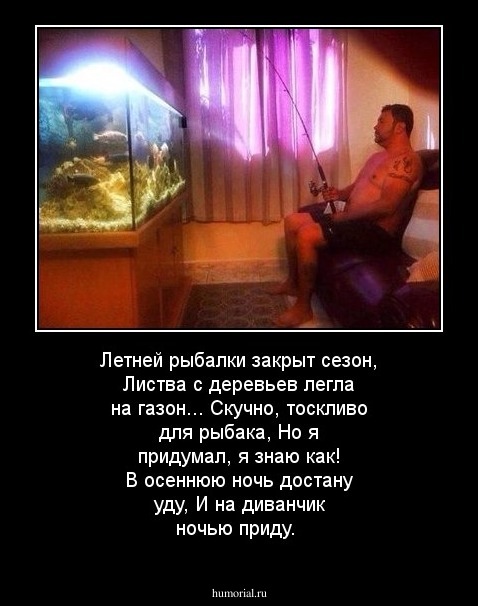 Летней рыбалки закрыт сезон,
Листва с деревьев легла на газон...
Скучно, тоскливо для рыбака,
Но я придумал, я знаю как!
В осеннюю ночь достану уду,
И на диванчик ночью приду.



