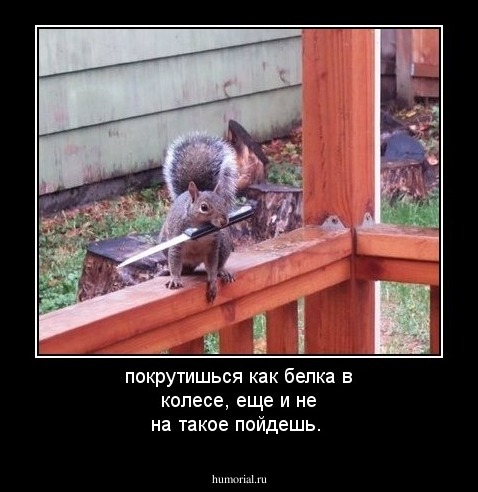 покрутишься как белка в колесе,  еще и не на такое пойдешь.