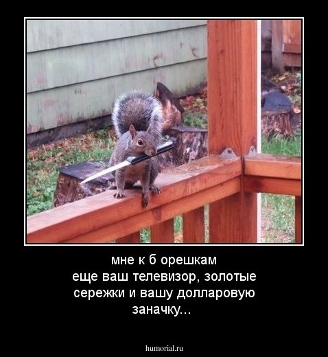 мне к б орешкам еще ваш телевизор, золотые сережки и вашу долларовую заначку...
