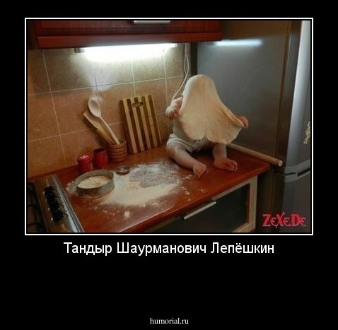 Тандыр Шаурманович Лепёшкин

