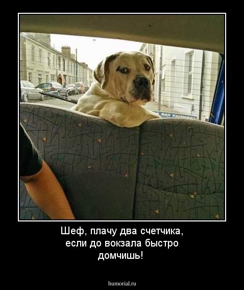 Шеф, плачу два счетчика, если до вокзала быстро домчишь!