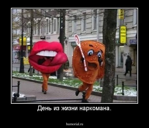 День из жизни наркомана.