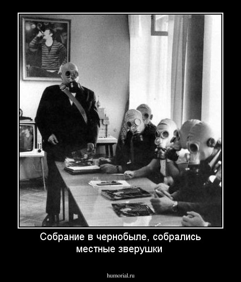 Собрание в чернобыле, собрались местные зверушки