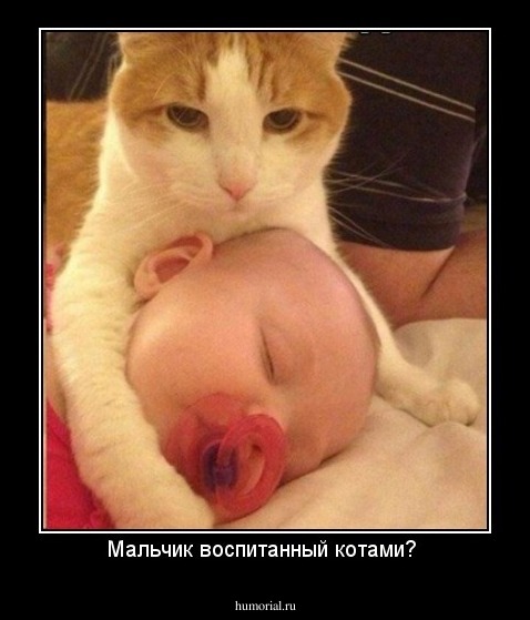 Мальчик воспитанный котами? 