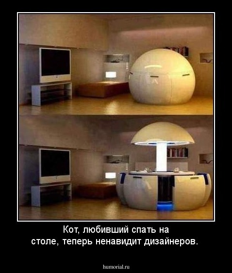 Кот, любивший спать на столе, теперь ненавидит дизайнеров.