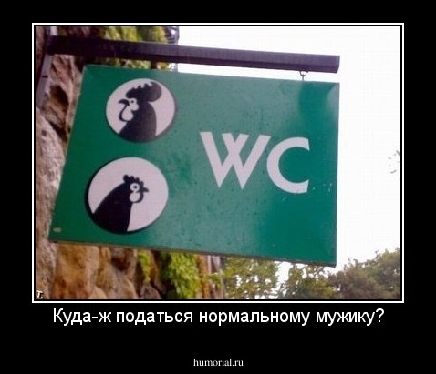 Куда-ж податься нормальному мужику?