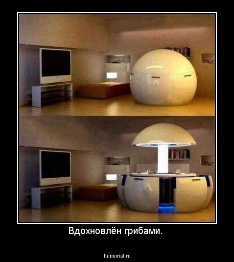 Вдохновлён грибами. 