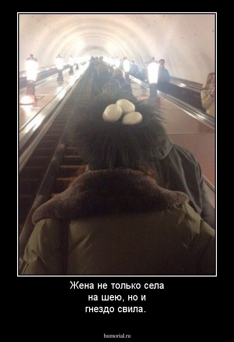 Жена не только села на шею, но и гнездо свила.