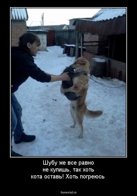 Шубу же все равно не купишь, так хоть кота оставь! Хоть погреюсь
