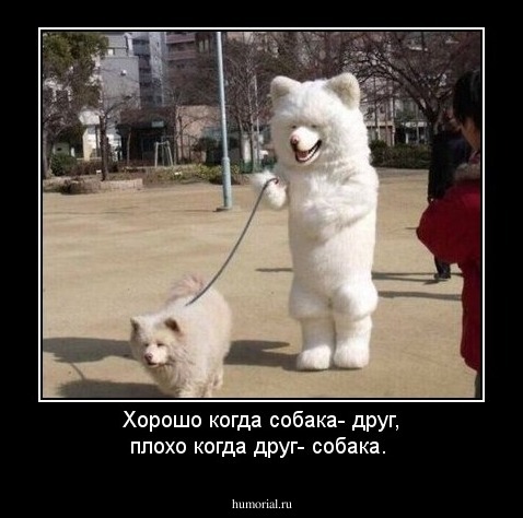Хорошо когда собака- друг, плохо когда друг- собака.
