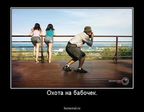 Охота на бабочек.