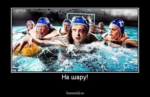 На шару!