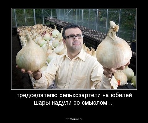 председателю сельхозартели на юбилей шары надули со смыслом...