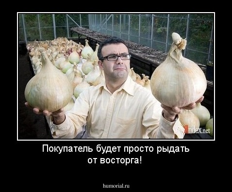 Покупатель будет просто рыдать от восторга!