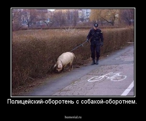 Полицейский-оборотень с собакой-оборотнем.