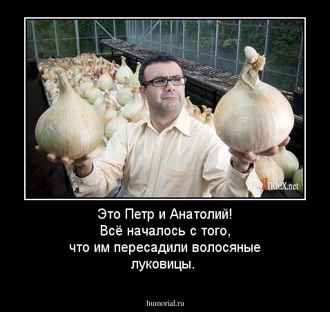 Это Петр и Анатолий! Всё началось с того, что им пересадили волосяные луковицы.