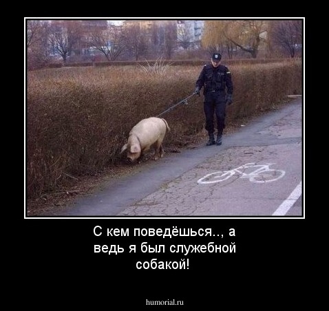 С кем  поведёшься.., а ведь  я был  служебной собакой!