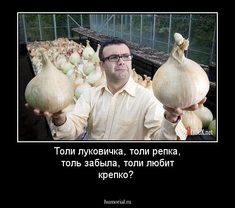 Толи луковичка, толи репка, толь забыла, толи любит крепко?