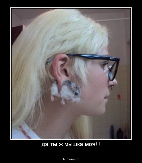 да ты ж мышка моя!!!
