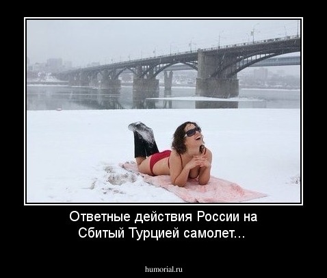 Ответные действия России на Сбитый Турцией самолет... 