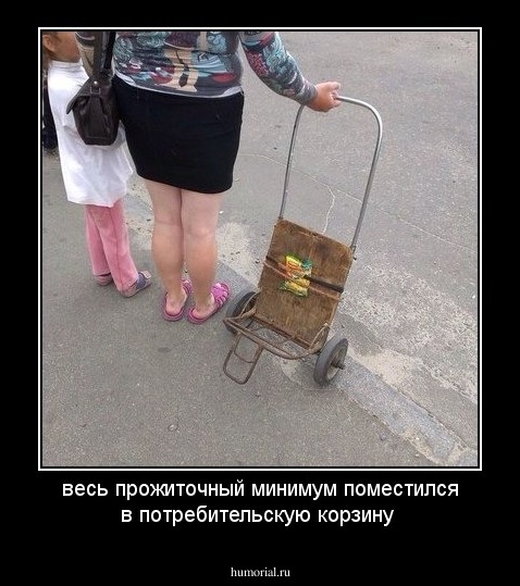 весь прожиточный минимум поместился в потребительскую корзину 