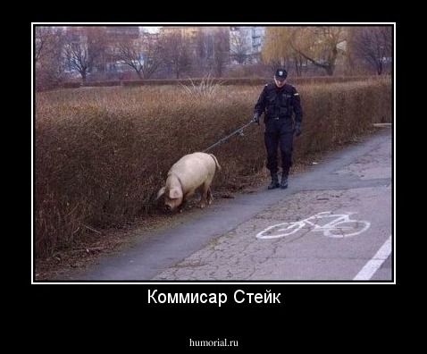 Коммисар Стейк