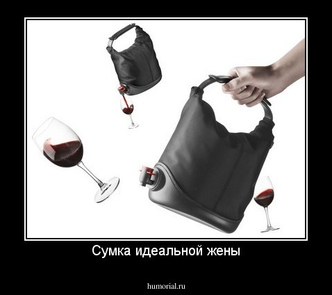 Сумка идеальной жены