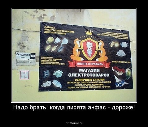 Надо брать: когда лисята анфас - дороже!