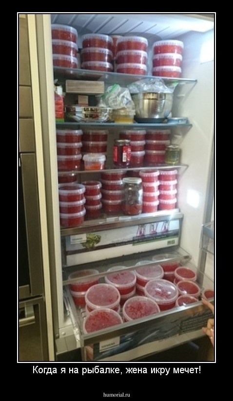 Когда я на рыбалке, жена икру мечет!