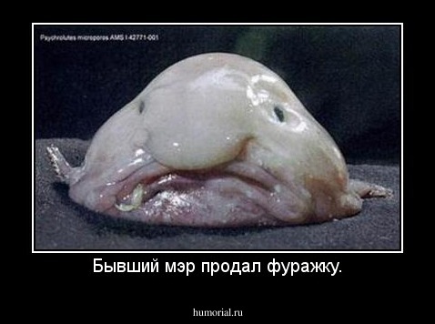 Бывший мэр продал фуражку.