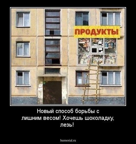 Новый способ борьбы с лишним весом! Хочешь шоколадку, лезь!