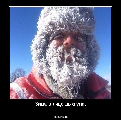 Зима в лицо дыхнула.