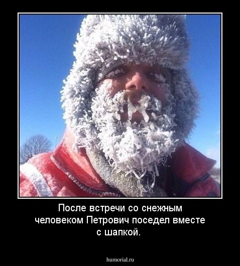 После встречи со снежным человеком Петрович поседел вместе с шапкой.