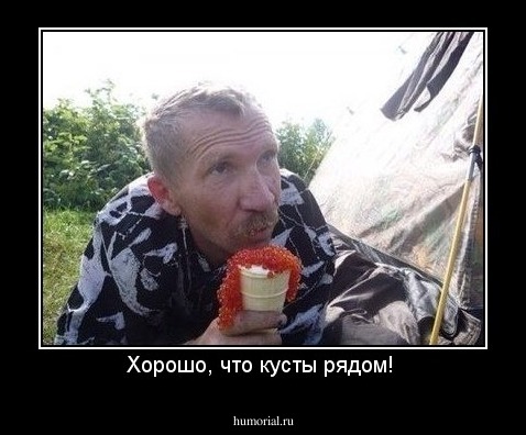 Хорошо, что кусты рядом! 
