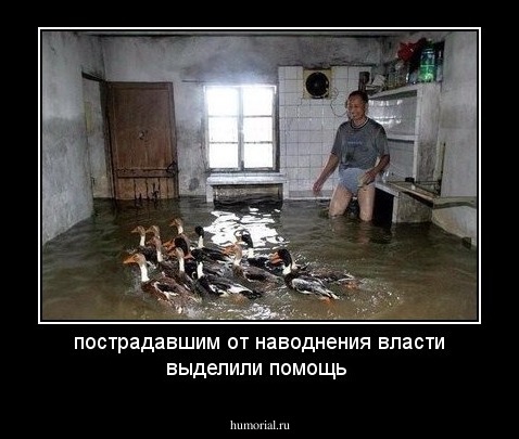 пострадавшим от наводнения власти выделили помощь