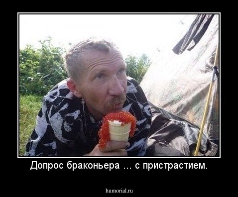 Допрос браконьера ... с пристрастием.