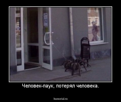 Человек-паук, потерял человека.