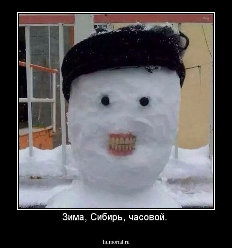 Зима, Сибирь, часовой. 