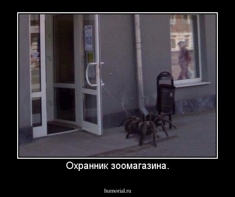 Охранник зоомагазина.