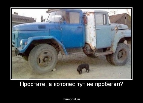 Простите, а котопес тут не пробегал?