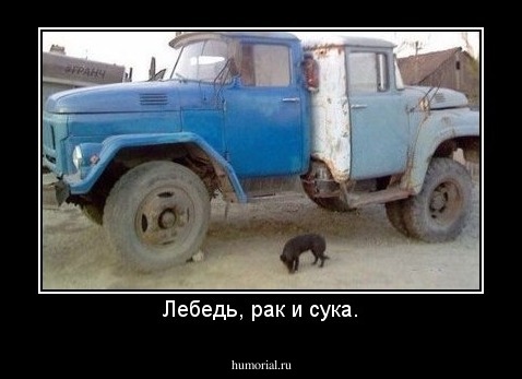 Лебедь, рак и сука.
