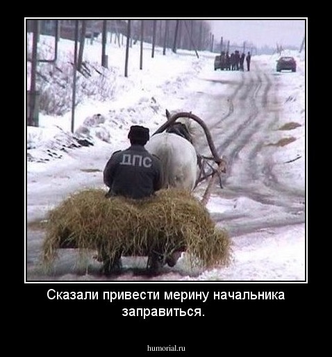 Сказали привести мерину начальника заправиться.
